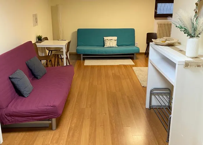 Ruhiges Privates Zimmer In Freiburg, Zentrumsnah, Naehe Europapark